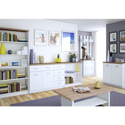 Comodă 2D1S/60, albă / stejar Sonoma, TOPTY TIP 41