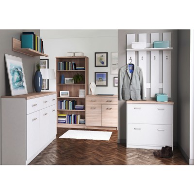 Comodă 2D1S/60, albă / stejar Sonoma, TOPTY TIP 41